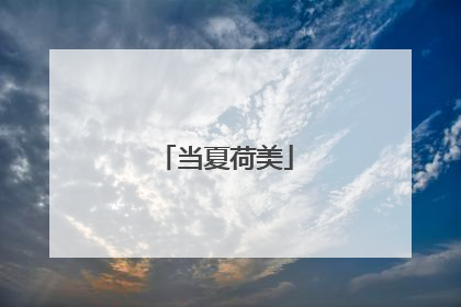 当夏荷美
