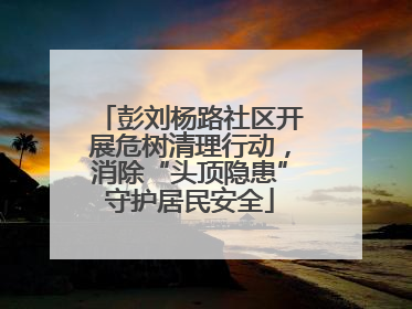 彭刘杨路社区开展危树清理行动，消除“头顶隐患”守护居民安全
