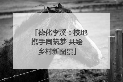 德化李溪：校地携手同筑梦 共绘乡村新图景