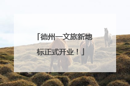 德州一文旅新地标正式开业！