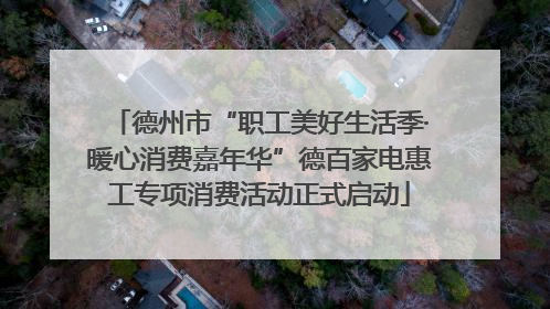 德州市“职工美好生活季·暖心消费嘉年华”德百家电惠工专项消费活动正式启动