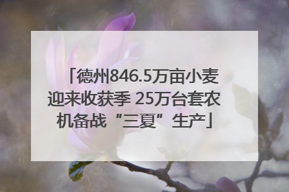 德州846.5万亩小麦迎来收获季 25万台套农机备战“三夏”生产