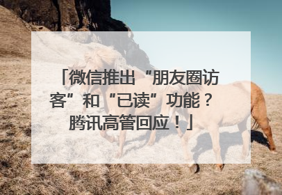 微信推出“朋友圈访客”和“已读”功能？腾讯高管回应！