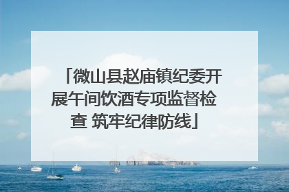 微山县赵庙镇纪委开展午间饮酒专项监督检查 筑牢纪律防线