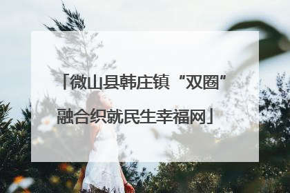 微山县韩庄镇“双圈”融合织就民生幸福网
