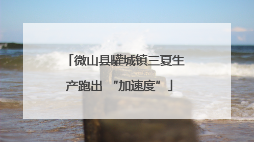 微山县驩城镇三夏生产跑出 “加速度”
