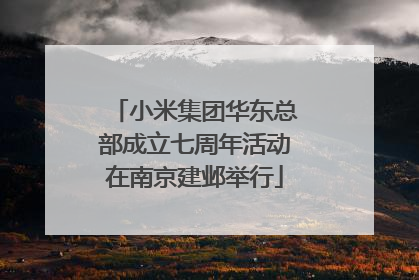 小米集团华东总部成立七周年活动在南京建邺举行