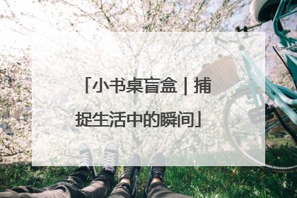 小书桌盲盒｜捕捉生活中的瞬间