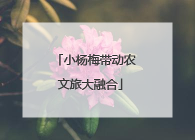 小杨梅带动农文旅大融合