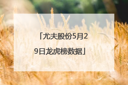 尤夫股份5月29日龙虎榜数据
