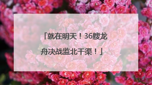就在明天！36艘龙舟决战监北干渠！