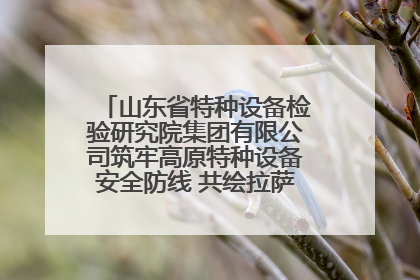 山东省特种设备检验研究院集团有限公司筑牢高原特种设备安全防线 共绘拉萨美好生活画卷