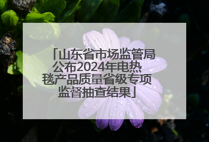 山东省市场监管局公布2024年电热毯产品质量省级专项监督抽查结果