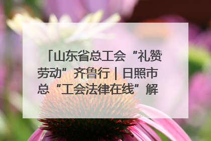 山东省总工会“礼赞劳动”齐鲁行｜日照市总“工会法律在线”解决职工愁“薪”事