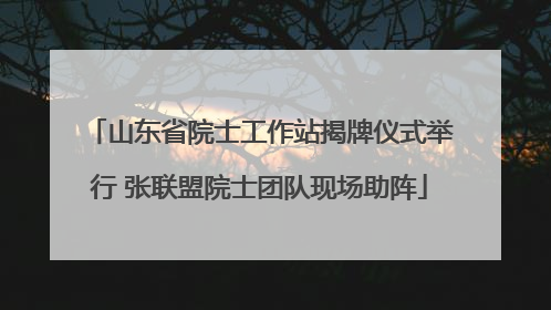 山东省院士工作站揭牌仪式举行 张联盟院士团队现场助阵