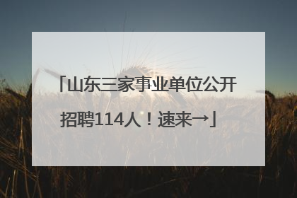 山东三家事业单位公开招聘114人！速来→