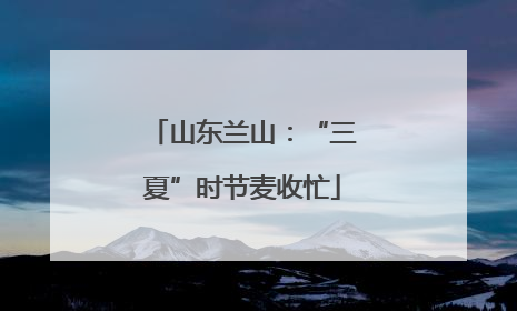 山东兰山：“三夏”时节麦收忙