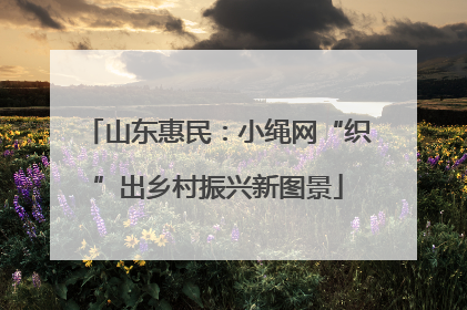 山东惠民：小绳网“织”出乡村振兴新图景