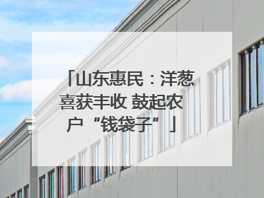 山东惠民：洋葱喜获丰收 鼓起农户“钱袋子”