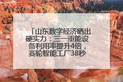 山东数字经济晒出硬实力：三一重能设备利用率提升4倍，赛轮智能工厂38秒生产一条轮胎