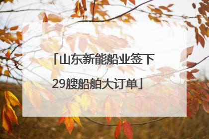 山东新能船业签下29艘船舶大订单