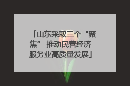 山东采取三个“聚焦” 推动民营经济服务业高质量发展