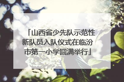 山西省少先队示范性新队员入队仪式在临汾市第一小学圆满举行