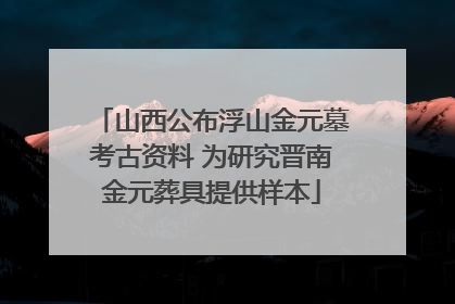 山西公布浮山金元墓考古资料 为研究晋南金元葬具提供样本