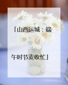 山西运城：端午时节麦收忙