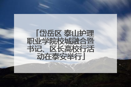 岱岳区 泰山护理职业学院校城融合暨书记、区长高校行活动在泰安举行