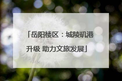 岳阳楼区：城陵矶港升级 助力文旅发展