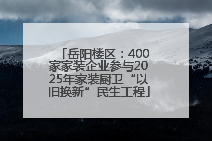 岳阳楼区：400家家装企业参与2025年家装厨卫“以旧换新”民生工程