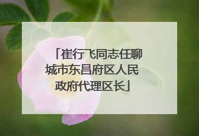 崔行飞同志任聊城市东昌府区人民政府代理区长