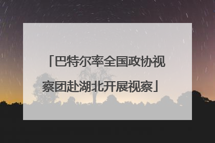 巴特尔率全国政协视察团赴湖北开展视察