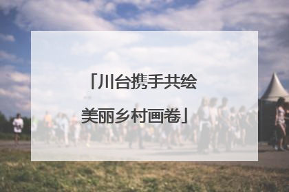 川台携手共绘美丽乡村画卷