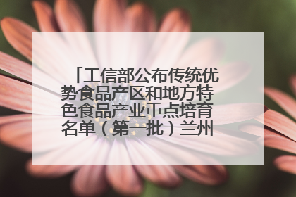 工信部公布传统优势食品产区和地方特色食品产业重点培育名单（第一批）兰州牛肉拉面位列其中