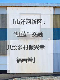 市洋河新区：“红蓝”交融 共绘乡村振兴幸福画卷