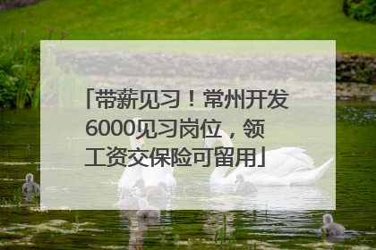 带薪见习！常州开发6000见习岗位，领工资交保险可留用
