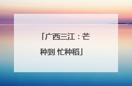 广西三江：芒种到 忙种稻