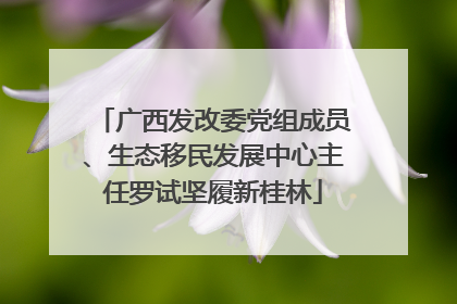 广西发改委党组成员、生态移民发展中心主任罗试坚履新桂林