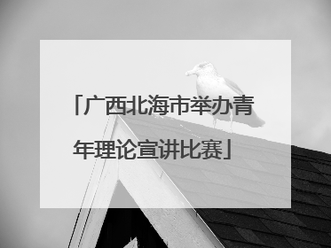 广西北海市举办青年理论宣讲比赛