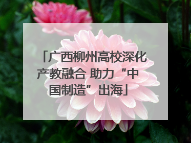 广西柳州高校深化产教融合 助力“中国制造”出海