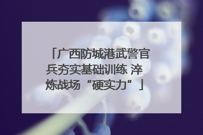 广西防城港武警官兵夯实基础训练 淬炼战场“硬实力”