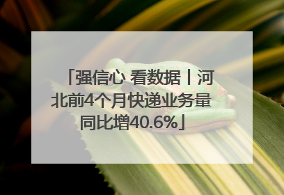强信心 看数据丨河北前4个月快递业务量同比增40.6%