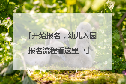 开始报名，幼儿入园报名流程看这里→