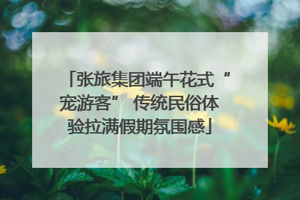 张旅集团端午花式“宠游客” 传统民俗体验拉满假期氛围感