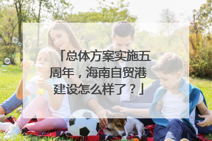 总体方案实施五周年，海南自贸港建设怎么样了？