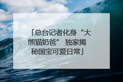 总台记者化身“大熊猫奶爸” 独家揭秘国宝可爱日常