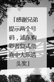 感谢兄弟提示两个号码，浦东购彩者复式票喜中大乐透头奖