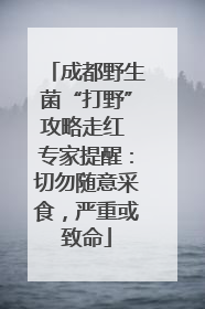 成都野生菌“打野”攻略走红 专家提醒：切勿随意采食，严重或致命
